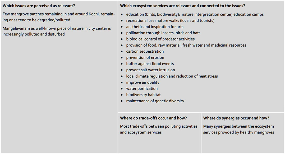 Six essential steps to analysing context of ecosystem services